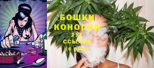 стафф Медногорск