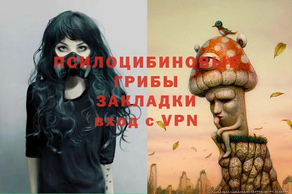 прущая мука Вязьма