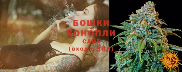 стафф Медногорск
