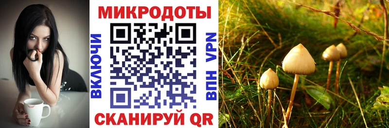 hydra ссылка  Гуково  Псилоцибиновые грибы Cubensis  даркнет сайт 
