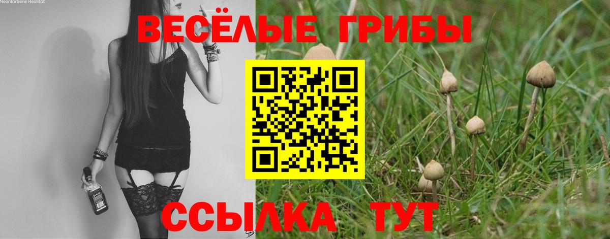 Гуково  где можно купить наркотик  Псилоцибиновые грибы Cubensis  Вход с VPN  Галлюциногенные грибы ЛСД 