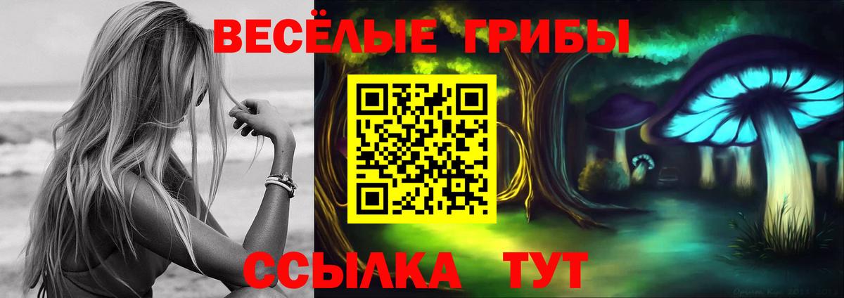 Псилоцибиновые грибы MAGIC MUSHROOMS  Псилоцибиновые грибы GOLDEN TEACHER  Гуково 